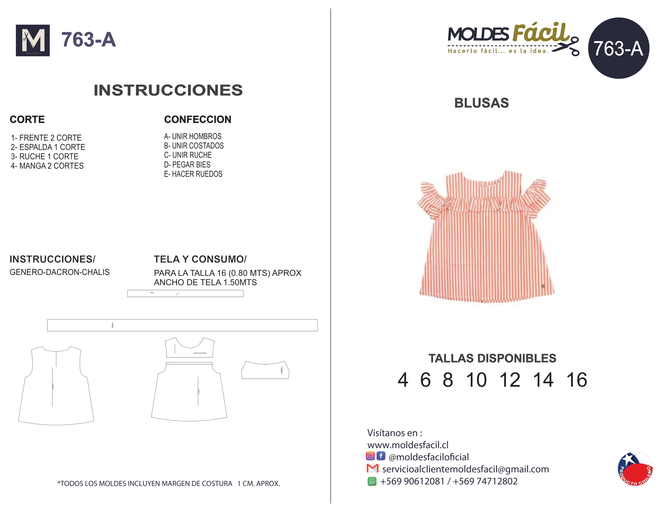 Blusa