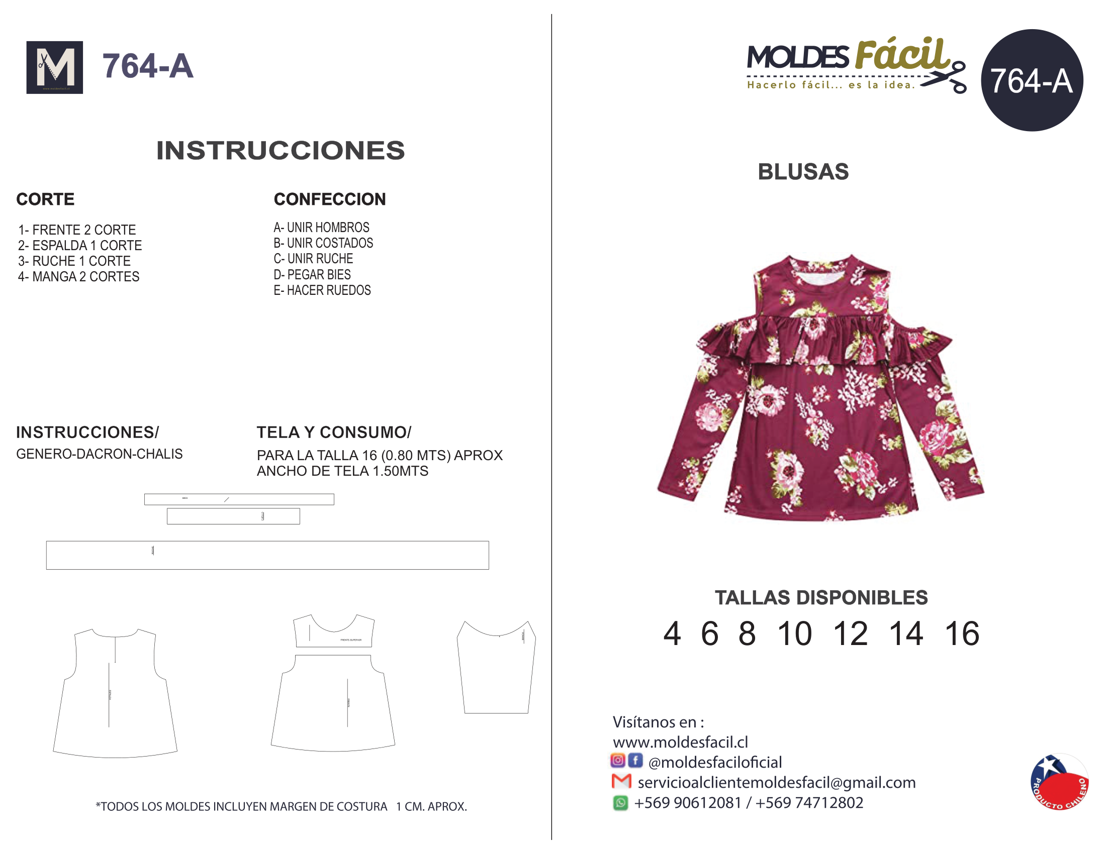 Blusa